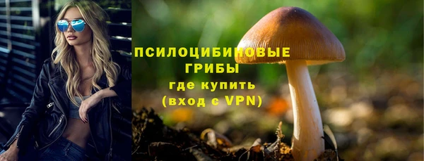 стафф Бронницы