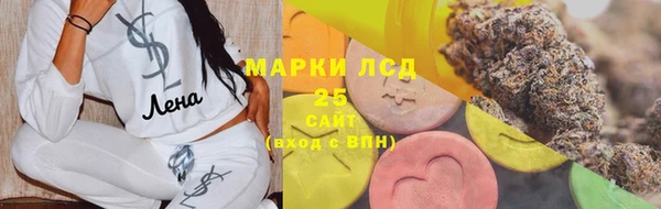 тгк Бородино