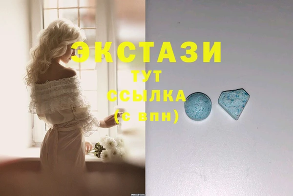 тгк Бородино