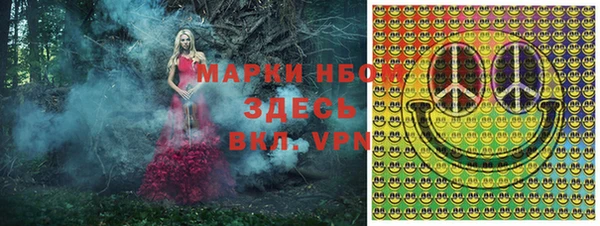 крисы Бугульма