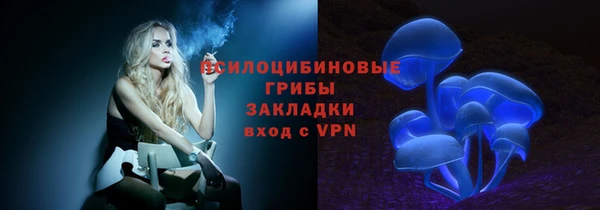 крисы Бугульма