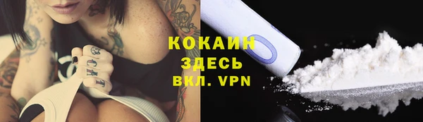 стафф Бронницы