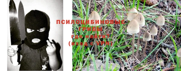 тгк Бородино
