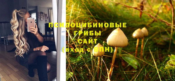 стафф Бронницы