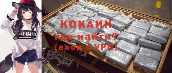 тгк Бородино