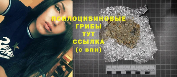 тгк Бородино