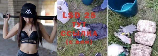 крисы Бугульма
