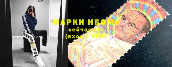 тгк Бородино