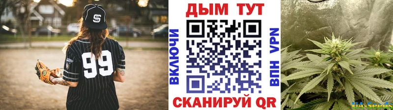 Бошки марихуана марихуана Ульяновск